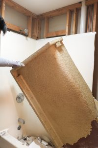 Week 2 of our One Room Challenge in remodeling our guest bathroom!