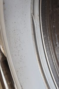 mildew inside of front load washing machine