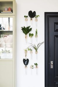 plant propagation wall to use as large wall decor
