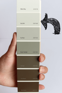 Benjamin Moore Gray Owl swatch with arrow pointing to it