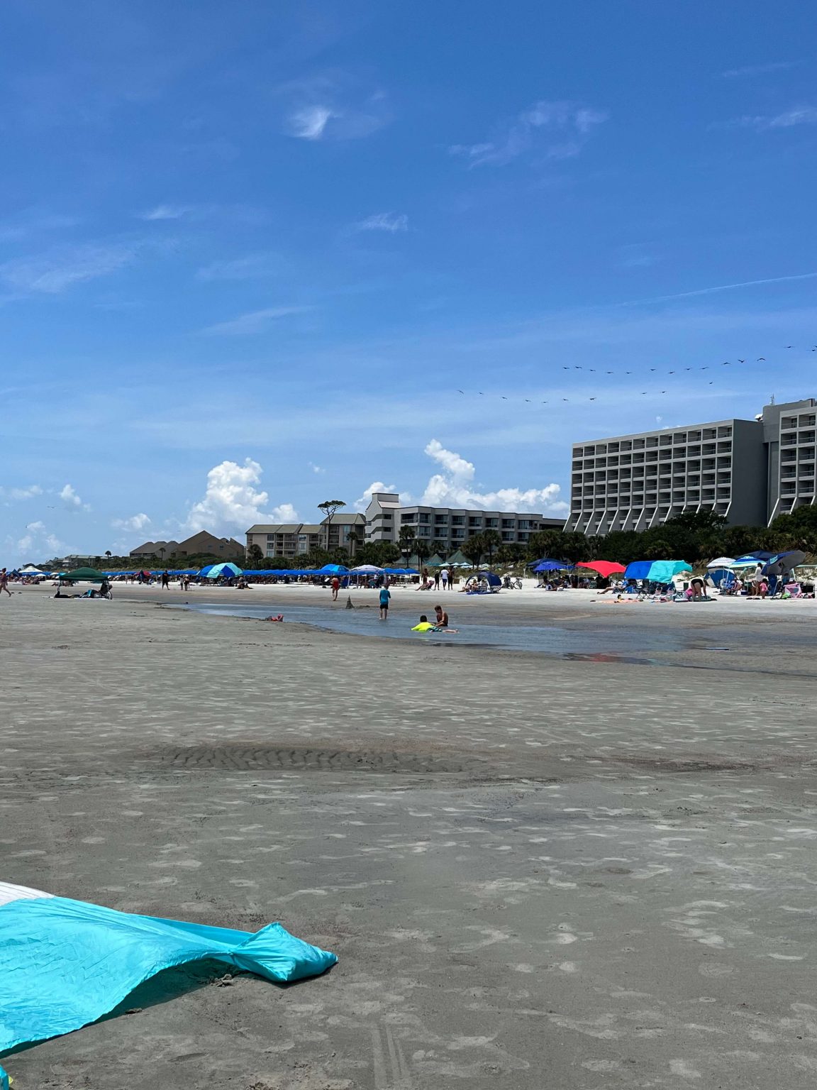 Your Guide To South Carolina Coastal Towns Pros & Cons!