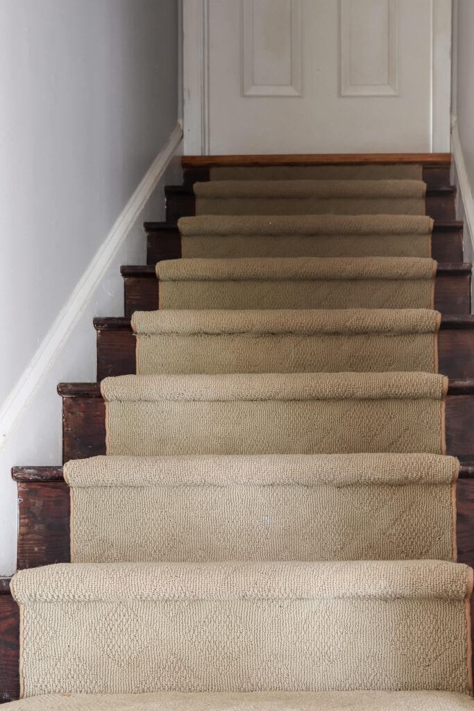 shot up the stairs with a carpet runner on it