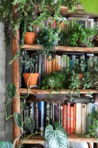 books on wooden bookshelves with tons of plants on them