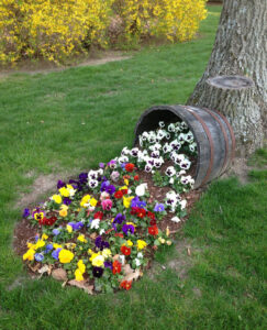 overturned bucket with flowers growing in it