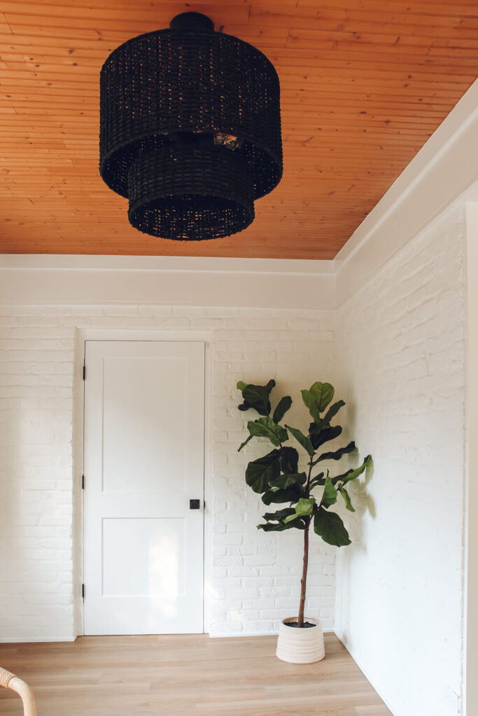 white walls in sunroom with wood ceiling and black rattan pendant and fiddle leaf fig in the cornder